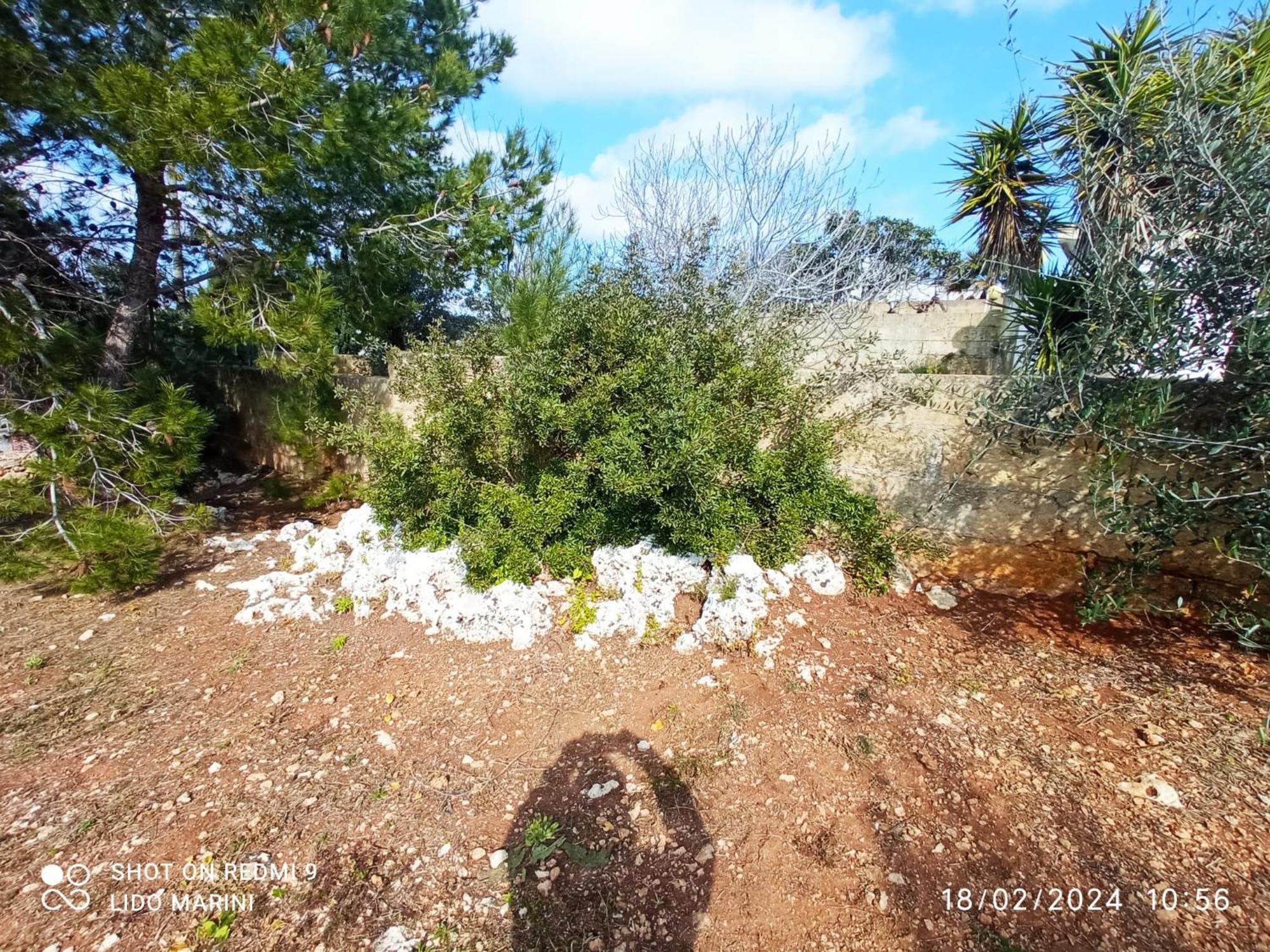 Villa Il Pigno Zona Maldive Del Salento Marina Di Pescoluse Exteriér fotografie